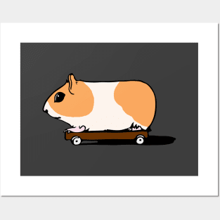 Guinea Pig Skateboard Posters and Art